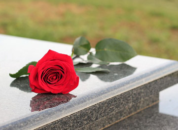 photo d'une rose sur une pierre tombale