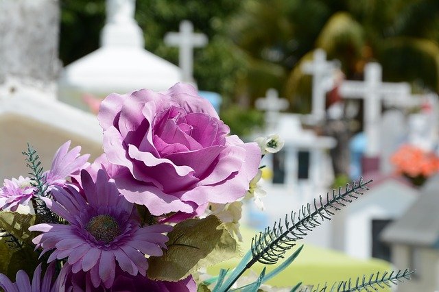photo fleur dans un cimetière