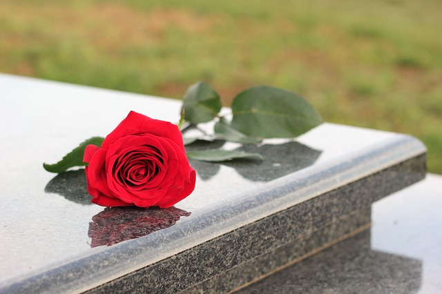 photo d'une rose sur une pierre tombale